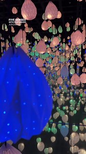 Immersive museums  SAN DIEGO LAS VEGAS | Ocean of Music | Facebook