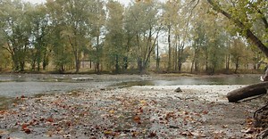 Video by Kelly     on Pexels