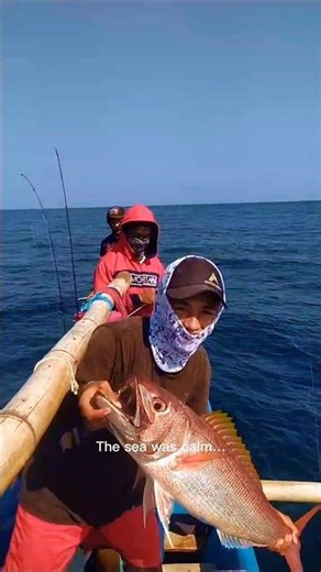 BRUTAL RED SNAPPER STRIKE! Screaming Drag on a Wooden Boat #fisherman #fish #fishing #shorts