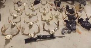 100  Animals Including Bears, Deer, and Elk Thrill-Killed in Washington's "Worst Poaching Case Ever"