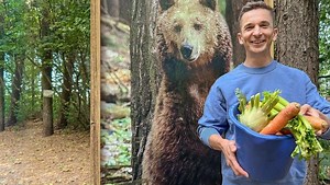 PUR : Wie wild ist der Bär? | KiKA