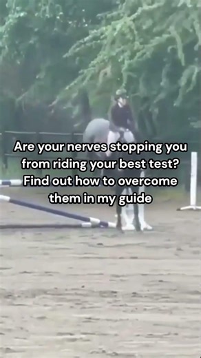 Stop guessing — finally feel your horse’s mouth