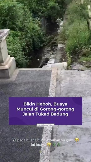 74K views · 761 reactions | Seekor buaya ditemukan di gorong-gorong...