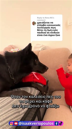 Δεν χρειάζεται κοινωνικό λειτουργό το σκυλάκι μόνο αγάπη θέλει #voiceover #isaakveriopoulos #dog