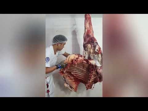 Beef Forequarter Deboning | Butcher Skills