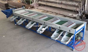 Rotary Drum Type Tomato Size Sorting Grading Machine | Tomato Paste Machine, Tomato Cutting Machine, Tomato Sorting Machine