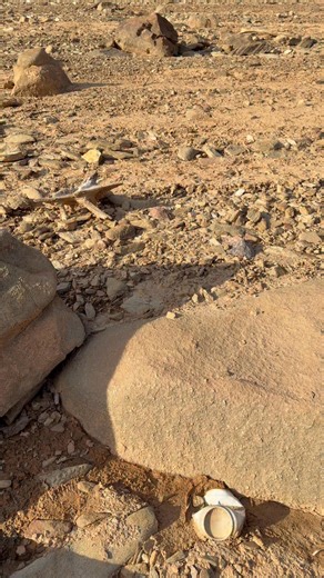 Found a petroglyph today, we was actually looking for a different one someone told us about, very cool artifact, it is in the National Park, due to the lake being low, we was able to find it, we left it undisturbed and will not disclose the location #artifacts #petroglyphs #nativeamerican #cherokee #influencer | Josh Lane