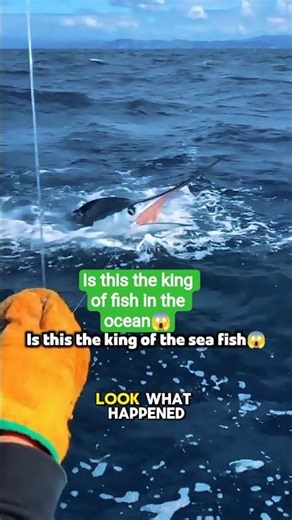 This Fish Almost Pulled Me Into the Ocean! 😱🎣” #shorts