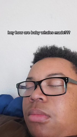 How Baby Whales Are Made: Fun Facts and Myths