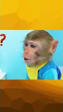 #monkeykiki #funny #kidsvideo #animation