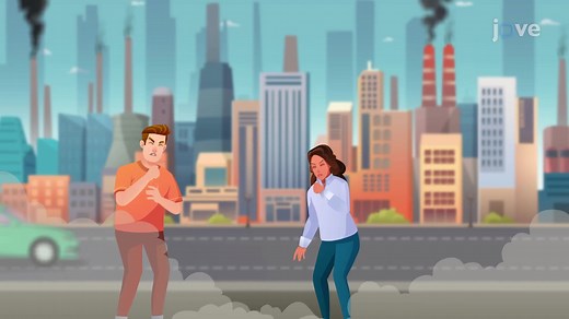 Outdoor Air Pollution - Ecosystems: Interactions, Energy, and Dynamics - JoVE K12