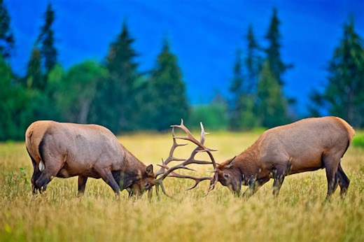 The world is moving the 'wrong way' on this key issue: Planet report - The Weather Network