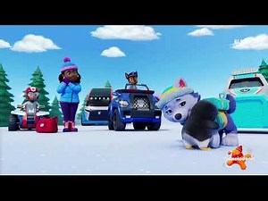 Paw Patrol Clip Pups Save the Lost Penguins