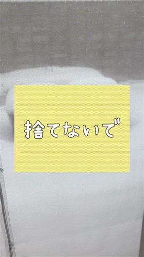 【捨てないで】北海道！越冬鉢植えは何？#shorts#ガーデニング初心者