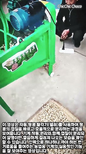 땅콩 껍질 까는 시간 10배 줄이는 방법! #worker #process #time-saving #peanut #farmtools