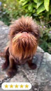 The Cutest Little Star Wars Fan You'll Ever See