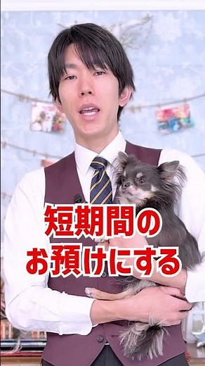 【Question】🔰What should I be careful about when taking my first dog training class? #doglife #dogt...