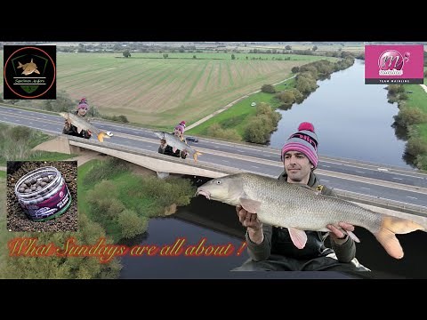 River Trent Barbel Fishing A1 Pits (session 14) mainline