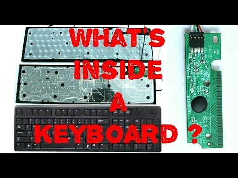 What's Inside a Keyboard ?