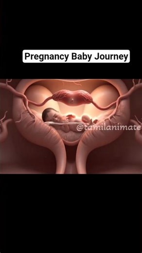 Pregnancy Baby Journey - Baby Growth #pregnancyjourney #pregnancycare #babybumplove