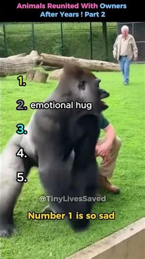 Animals Reunited With Owners After Years ! Part 2 #shorts #animals #reunited