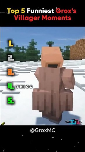 Top 5 Funniest Grox’s Villager Moments #2