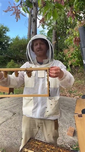 How to turn a foundationless brood fame.