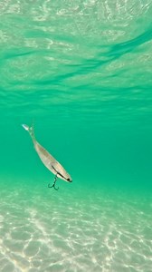 294K views · 1.7K reactions | The Fallout Minnow gives you endless rigging options for any fishing scenario. One of the most versatile lures in the Live Ops range, it features the interchangeable Adjusta-Ball Tungsten System, letting you fine tune your presentation. Run it as a topwater lure or send it deep, the choice is yours. #NomadDesign #LiveOps | Nomad Design Australia | Facebook