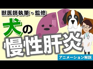 犬の慢性肝炎について【獣医師執筆監修】症状から治療方法