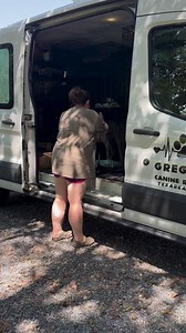 278 reactions · 24 shares | #gregkingcaninerecovery #dogrescue...