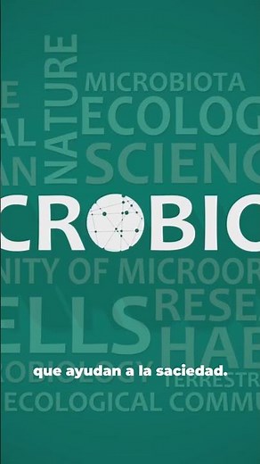 Microbiota y peso: el eje oculto del metabolismo 🦠⚖️ #microbiota #metabolismo #alimentacion #fyp