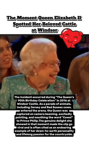 The Moment Queen Elizabeth II Spotted Her Beloved Cattle at Windsor #royalfamily #queenelizabeth
