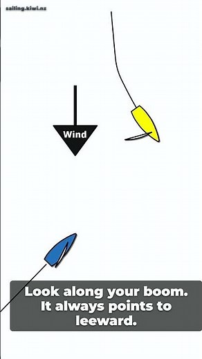 Windward vs leeward: who has right of way? #sailing #Rule11 #shorts