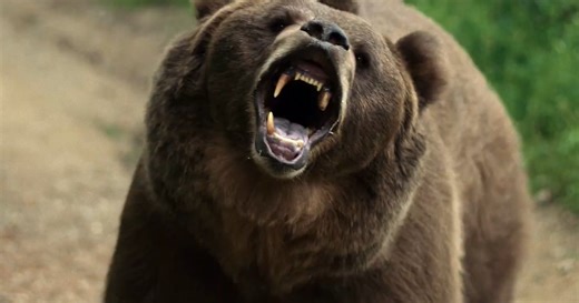 Grizzly Night Trailer: Bear Attack Horror Movie With Jack Griffo | Exclusive