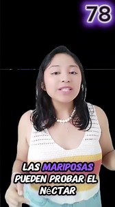 Dato curioso 78: ¿Cómo prueban las cosas las mariposas? Degustación