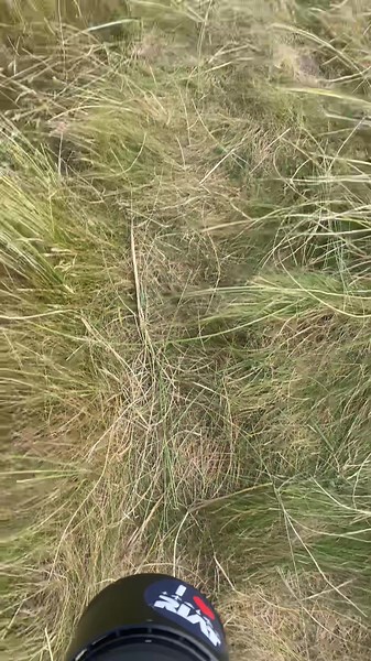 Eurofighter Typhoon: A Multinational Collaboration