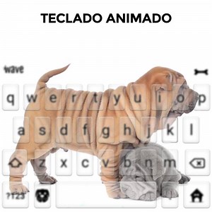 Wave Keyboard on Reels