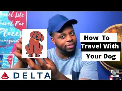How To Travel With A Dog On Delta Airlines?