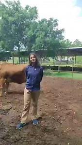 7.1M views · 184K reactions | "देसी गोमाता का गजब फार्म" Vaishvi Desi Cow Farms #farmers #DesiCowLover #maniimprovefarmer | MANI Improve FARmer | Facebook