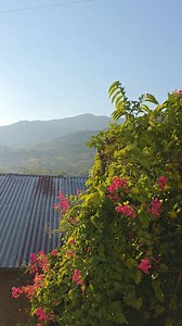 Bonito inicio de semana 🥰 | Tulipán Lara