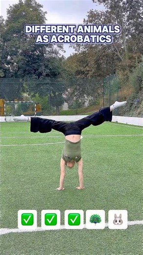 If Animals Were Acrobatics 🐒🦒🐍