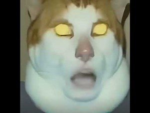 Monday left me broken cat (REVERSED Version)