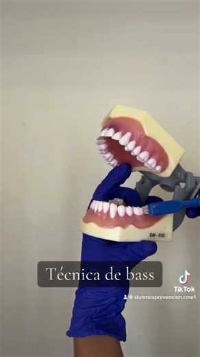 Técnica de cepillado de bass🦷🪥