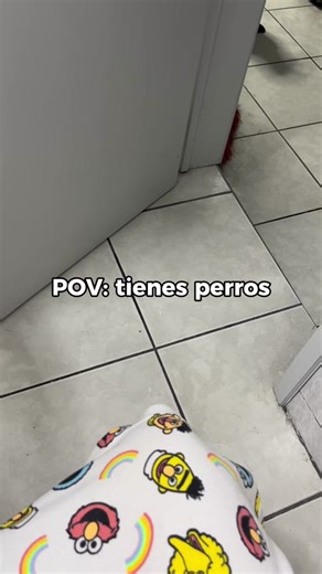 Chucky, el Pug que Siempre te Encuentra