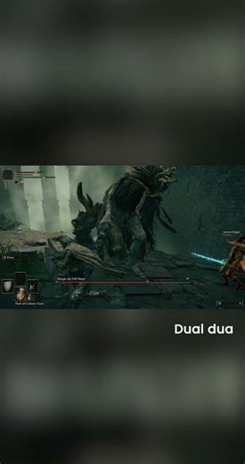 The Ultimate Elden Ring Funny Moments #eldenring #reels #gaming #dualduo