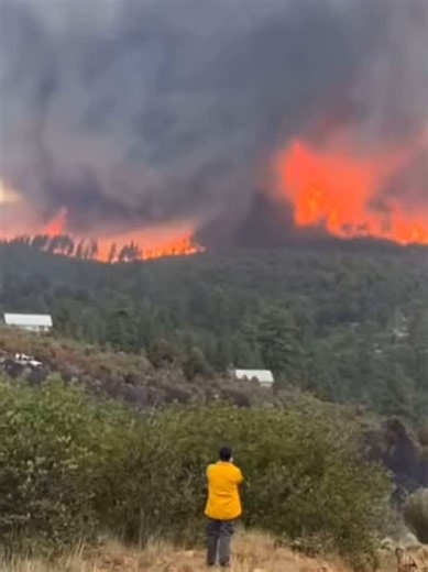 1.1K reactions · 43 comments | Fire Whirl - Incredible new video from the Deer Creek Fire in southeastern Utah shows what crews call a vortex/tornado ordeal, it happened over the weekend. #caughtthefirebug #wildfire #hotshots #breakingnews #smoke #firefighter #deercreekfire #utah #aviation  reposted Fox News #danger | Caught The Fire Bug | Facebook