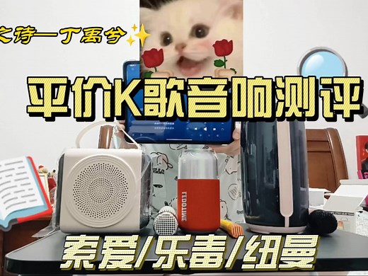 平价K歌音响测评