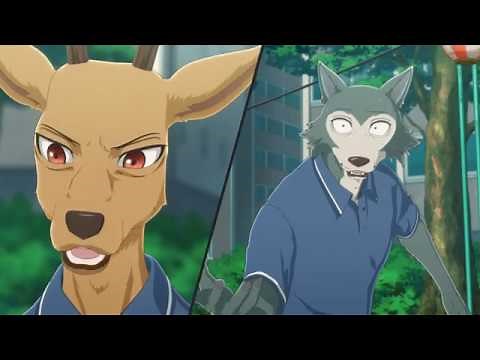 Beastars- Legoshi vs. Louis
