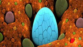 Easter Spot The Difference