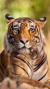 136K views · 1.4K reactions | Logo design ideas  | Logo Design | Facebook